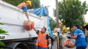 Este lunes comenzarán los operativos de descacharreo en la ciudad de Córdoba.