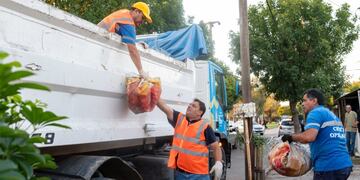 Este lunes comenzarán los operativos de descacharreo en la ciudad de Córdoba.