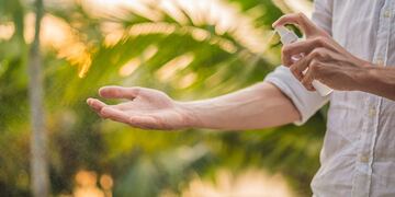 Un árbol que crece en Córdoba se utiliza para preparar repelente para mosquitos: cuál es y cómo prepararlo.