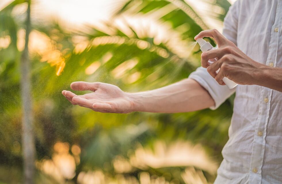 Un árbol que crece en Córdoba se utiliza para preparar repelente para mosquitos: cuál es y cómo prepararlo