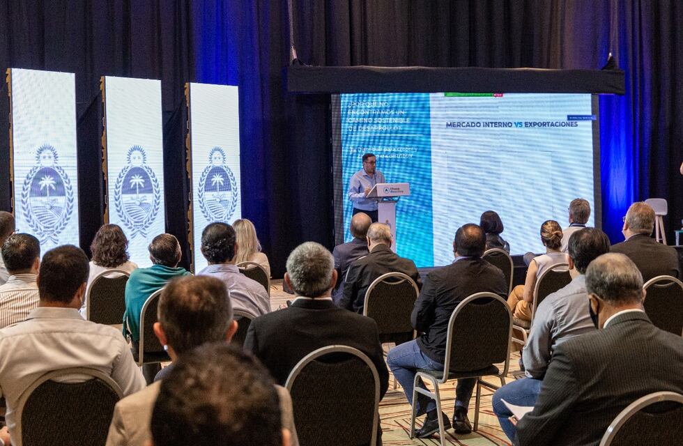 El gobierno provincial presentó su plan económico Chaco Reactiva