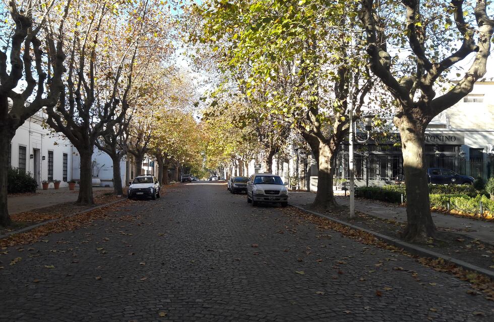 Tandil: el Municipio pidió extremar los cuidados para evitar un brote de coronavirus