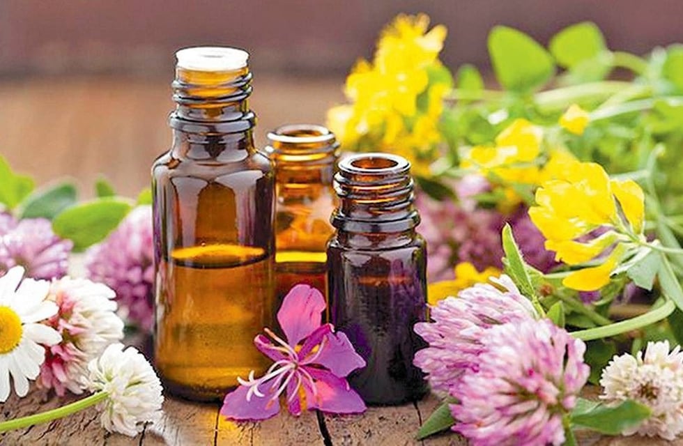 Alternativas naturales: qué son las flores de Bach y por qué cada vez son más buscadas para mejorar el bienestar