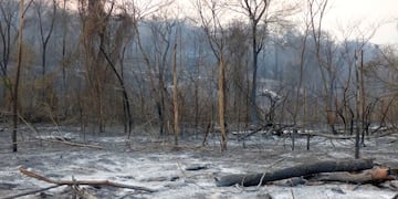 Las autoridades calculan que ya son 7.800 hectáreas de bosques y pastizales la superficie afectada por el fuego en las Yugas de Jujuy.