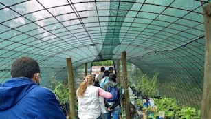 Nuevo y exitoso taller en el Aula Ambiental de Villa Carlos Paz.