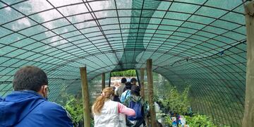 Nuevo y exitoso taller en el Aula Ambiental de Villa Carlos Paz.