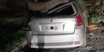 Una rama de un árbol aplastó a un auto en Rafaela
