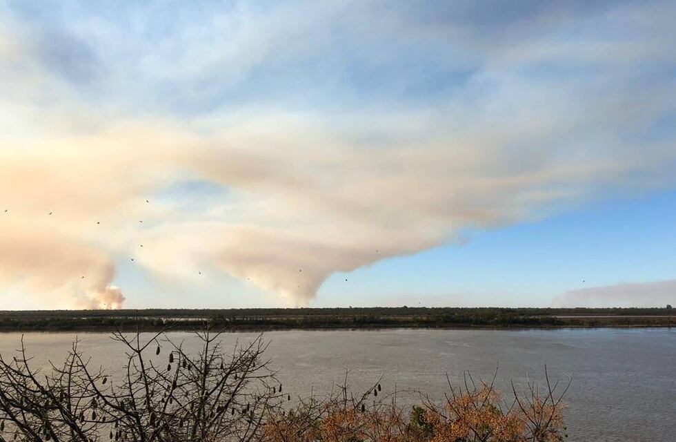 Santa Fe en alerta por incendios en las islas: “Una colilla de cigarrillo puede desatarlos”