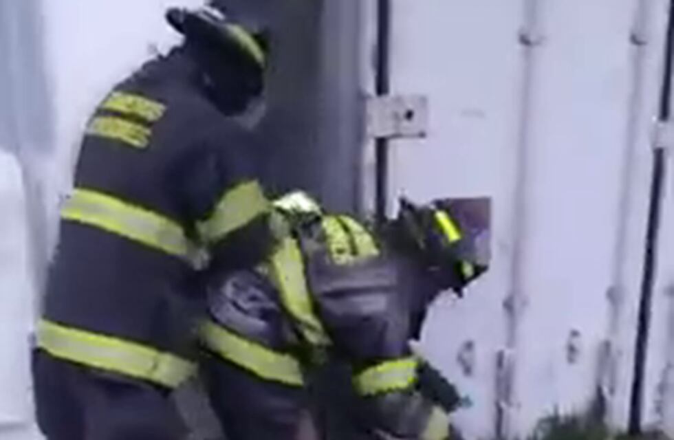 Rescataron a un perro atrapado en contenedores