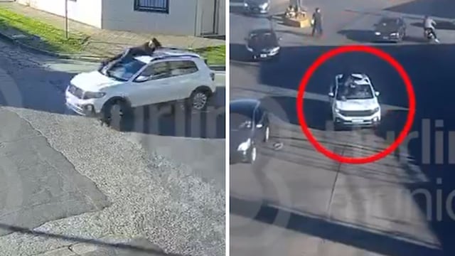 Una mujer arrastró a un joven sobre el capot en Hurlingham