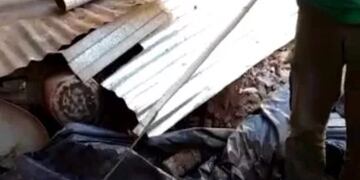 Garupá: rescataron a una serpiente de una vivienda del barrio Santa Helena.