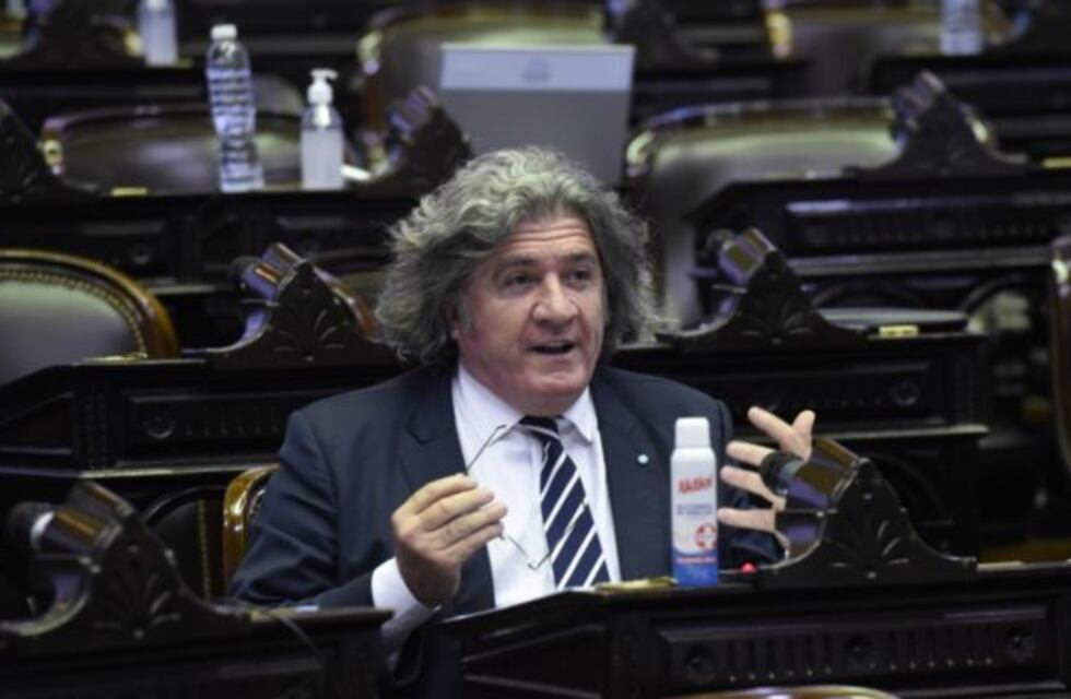 Ramón asumió como presidente de Protectora y Wado de Pedro lo felicitó