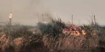 Fuego en Tandil: se incendiaron más de 35 hectáreas de sierras en la ciudad
