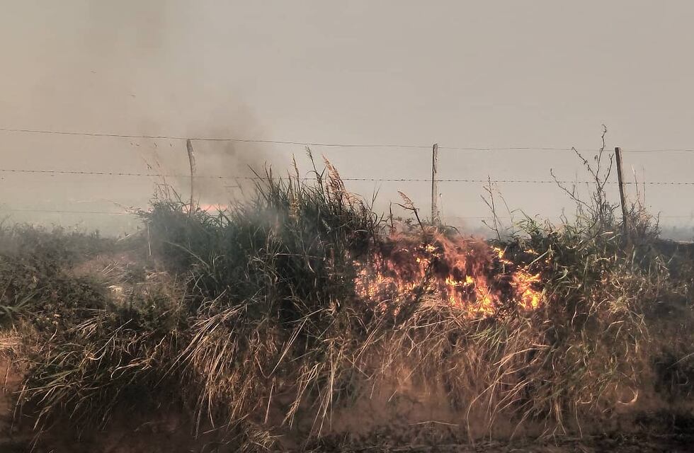 Fuego en Tandil: se incendiaron más de 35 hectáreas de sierras en la ciudad