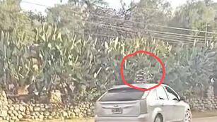 Circuló con un niño en el techo de un auto.