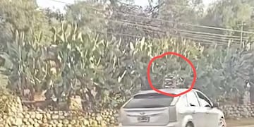 Circuló con un niño en el techo de un auto.