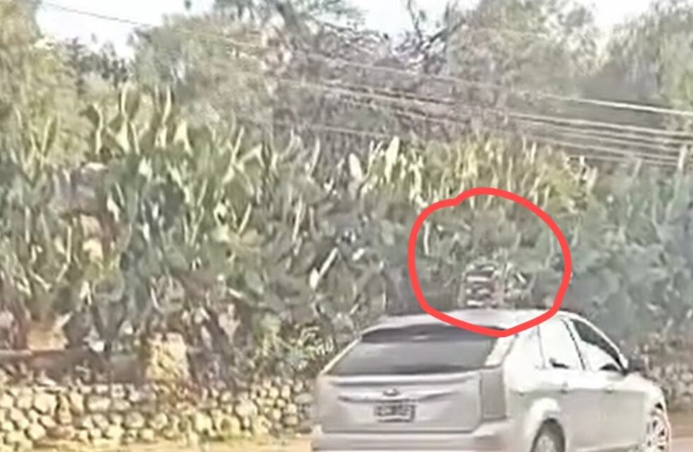 Filmaron un auto circulando con un niño en el techo: el video de la polémica práctica