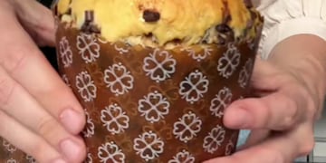 Cómo hacer pan dulce sin TACC súper suave y esponjoso: la receta apta celíacos para sorprender en estas Fiestas