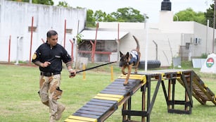 Inauguraron el primer parque de entrenamiento para perros del Servicio Penitenciario