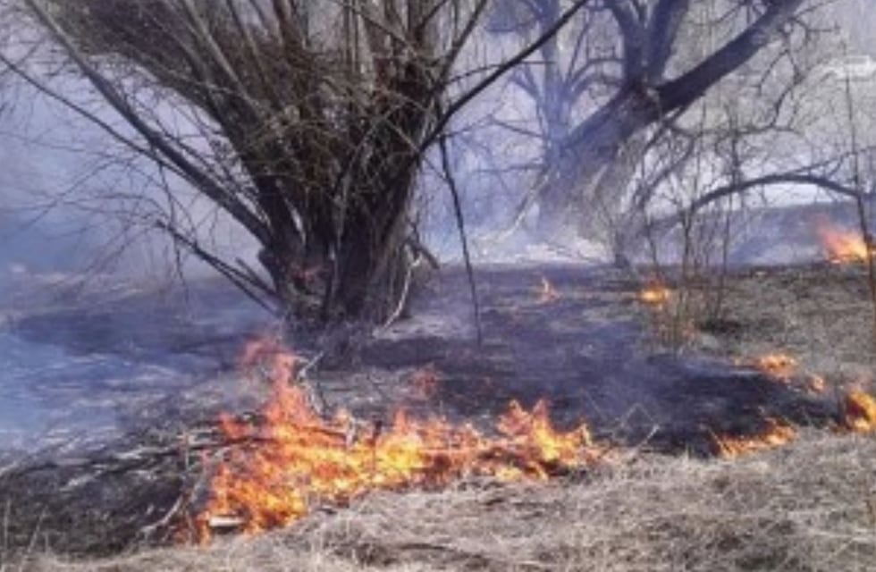 Incendios en la Patagonia: tras el avance del fuego, tuvieron que cortar el tránsito en la ruta 40