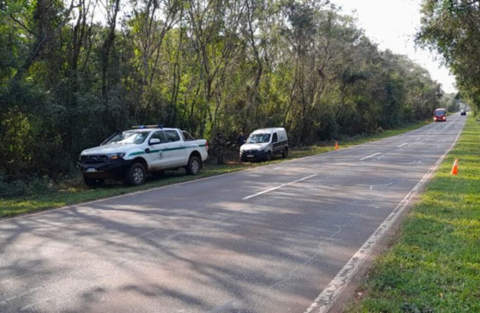 Guardaparques del Parque Nacional Iguazú realizan controles de velocidad en la reserva