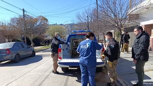 Cosquín: rescatan a 14 perros desnutridos