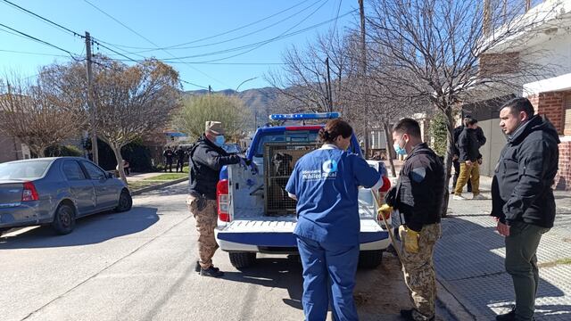 Cosquín: rescatan a 14 perros desnutridos
