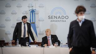 Martín Lousteau (UCR) anunció un dictamen propio de la "ley bases" (Foto: Federico López Claro)