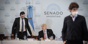 Martín Lousteau (UCR) anunció un dictamen propio de la "ley bases" (Foto: Federico López Claro)