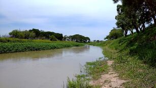 El cuerpo apareció a orillas del Arroyo Ubajay