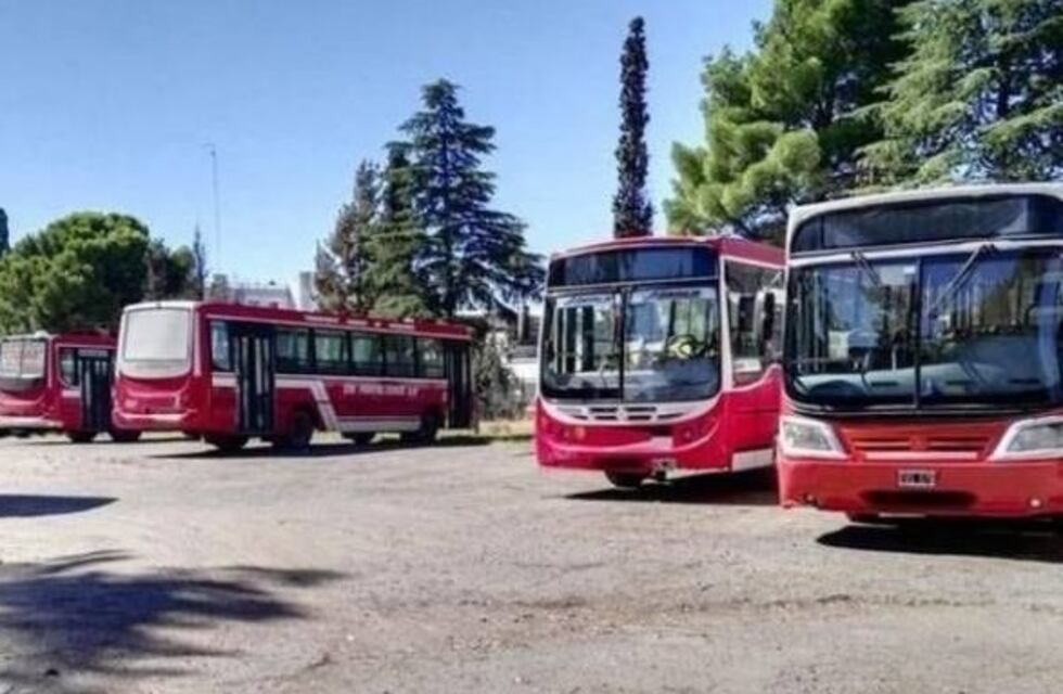 SUBE suma nuevos medios de pago para viajar en colectivos de Coronel Rosales