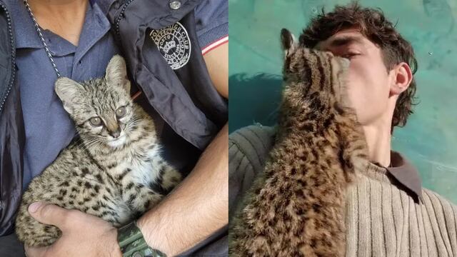 El cordobés rescató al animal y formó un lazo estrecho con él.