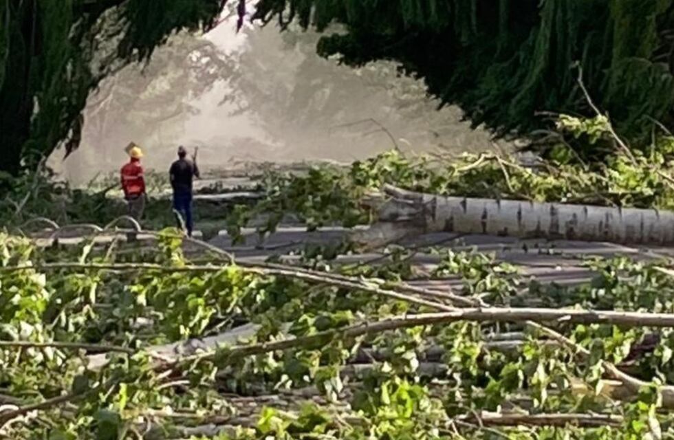 El día después del Zonda en Mendoza: qué daños produjo y qué se pronostica para las próximas horas