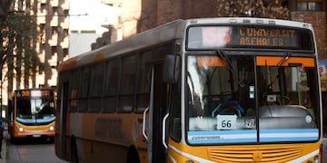 El precio del boleto del transporte urbano de Córdoba subiría en los próximos días.