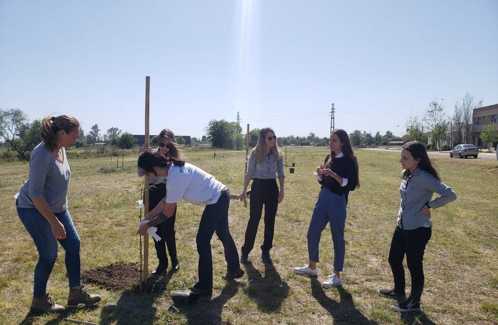 Una empresa donó 100 árboles para plantar en Rafaela