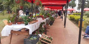 La situación problemática del agua afecta a los productores misioneros.