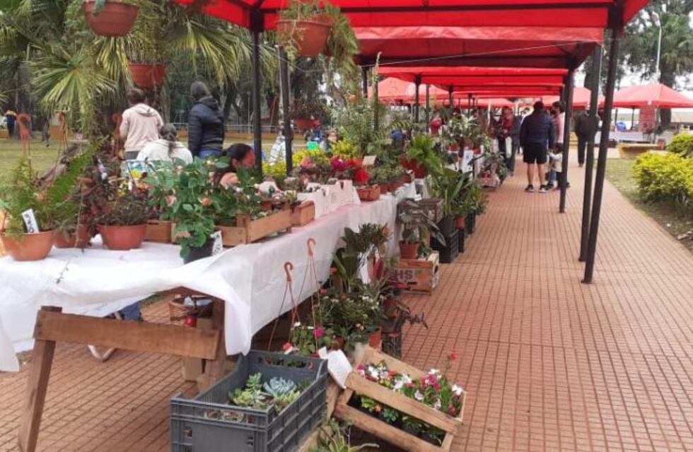 Feria franca Eldorado: avanzan con proyectos de abastecimiento de agua