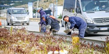 Ushuaia: realizan trabajos de limpieza en la Avenida Héroes de Malvinas