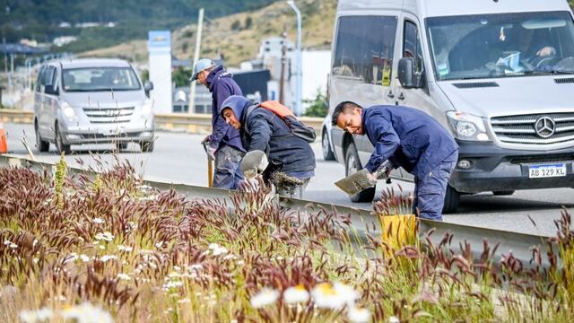 Ushuaia: realizan trabajos de limpieza en la Avenida Héroes de Malvinas