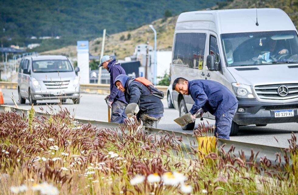 Ushuaia: realizan trabajos de limpieza en la Avenida Héroes de Malvinas