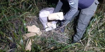 Puerto Esperanza: hallan cargamento de marihuana abandonado en una zona de monte.