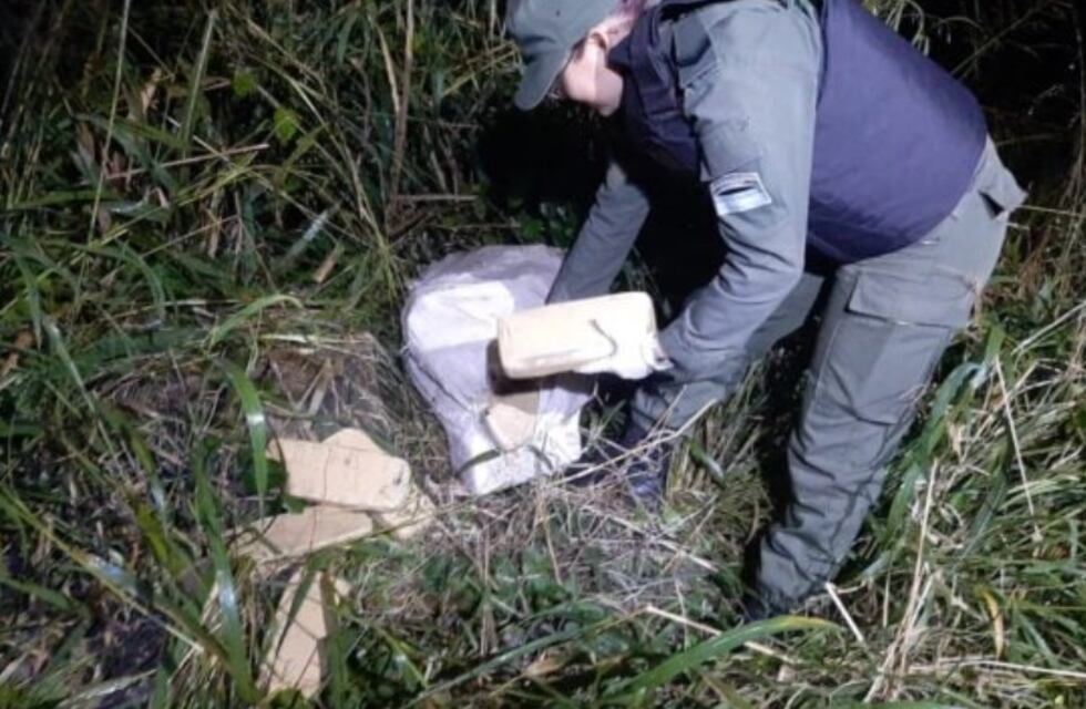 Puerto Esperanza: hallan cargamento de marihuana abandonado en una zona de monte