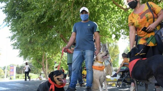 Frente a la Legislatura, los proteccionistas protestaron contra la ley, a la que consideran "imposible de cumplir". Diario Huarpe