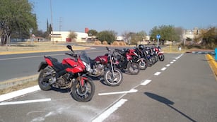 En Córdoba, un inesperado animal emergió de una motocicleta.