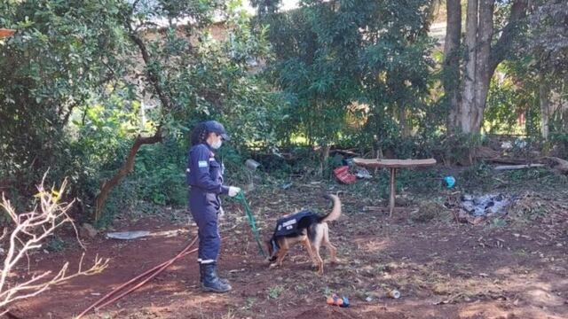 Búsqueda de Josías Galeano en Oberá