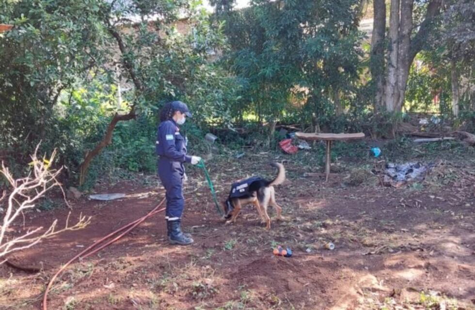 Josías Galeano sigue desaparecido y la Policía lo busca con perros en Oberá
