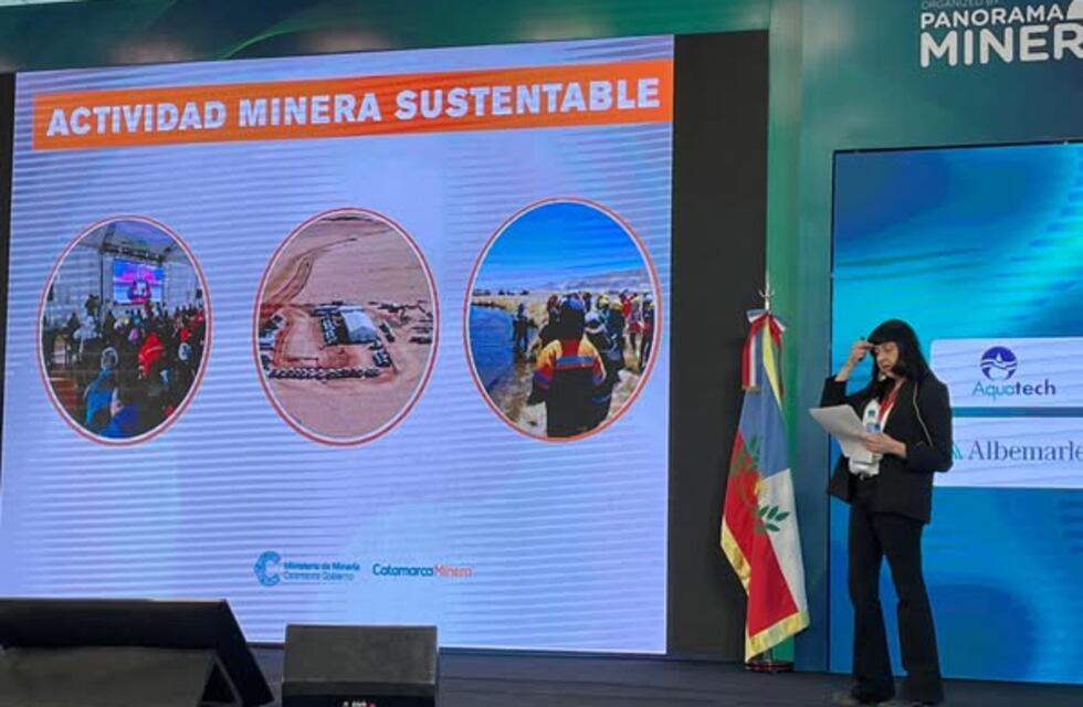 Litio y desarrollo: Catamarca expuso su modelo en un seminario global