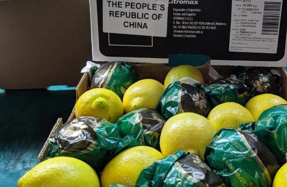 Jaldo advirtió sobre el impacto de las barreras arancelarias en las exportaciones tucumanas