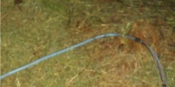 Intento de robo de cables de energía eléctrica en Eldorado.