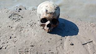 Encontraron un cráneo y una bolsa con restos óseos en la orilla de un río en Santa Fe.